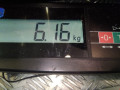 уплотнитель двери Land Rover Range Rover 3 поколение 2002, 4.4 л., АКПП, внедорожник 5 дв., LR014294 - фото №5