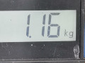 подушка безопасности водителя Volkswagen Polo 4 поколение 2004, 1.2 л., МКПП, хетчбэк 3 дв., 1T0880201D4EC - фото №7