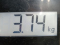стеклоподъемник электрический передний левый Ford Focus 2 поколение 2005, 1.6 л., МКПП, универсал, 1738645 - фото №7