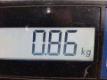 насос топливный Skoda Octavia 2 поколение (A5) [рестайлинг] 2012, 1.6 л., МКПП, универсал, 1K0919050AB - фото №4