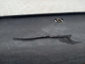 накладка на порог внутренняя Hyundai ix35 1 поколение LM 2013, 877532S000 - фото №3