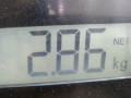 магнитола Audi A3 8P/8PA [2-й рестайлинг] 2012, 1.6 л., МКПП, хетчбэк 5 дв., 8P0035186AB - фото №6