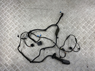 дверная проводка BMW X7 G07 2018, 3.0 л., B57 D30 C, дизель, arktikgrau brill. metallic (c27), 61128734050