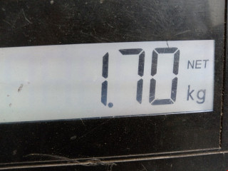 пружина задняя Toyota Aygo 1 поколение 2005, 1.0 л., МКПП, хетчбэк 3 дв., 482310H020