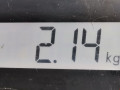 стеклоподъемник электрический передний левый Mazda 5 CR 2005, 2.0 л., МКПП, минивэн, C23559590B - фото №6