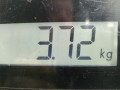 стартер Volkswagen Golf 4 поколение 2001, 1.9 л., МКПП, хетчбэк 5 дв., 02A911024GX - фото №5