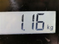 крышка двигателя передняя Mercedes-Benz A-Класс W168 1999, 1.4 л., МКПП, хетчбэк 5 дв. - фото №5