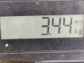 пружина задняя SEAT Leon 1 поколение 2001, 1.4 л., МКПП, хетчбэк 5 дв., 1J0511115BQ - фото №5