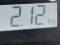 подушка безопасности пассажира BMW X1 E84 2010, 2.0 л., МКПП, внедорожник 5 дв., 72129204378 - фото №6