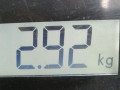 руль Citroen C2 1 поколение 2004, 1.4 л., МКПП, хетчбэк 3 дв., 4109EW - фото №4
