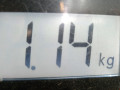 заслонка дроссельная Opel Astra H/Family [рестайлинг] 2010, 1.6 л., МКПП, хетчбэк 3 дв., 55560398 - фото №7