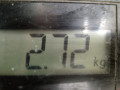 бампер задний Ford Focus 3 поколение 2012, 1.0 л., МКПП, хетчбэк 5 дв., BM51A17906AGJAHC - фото №7