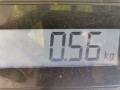 замок двери передней левой Citroen C3 2 поколение 2010, 1.4 л., МКПП, хетчбэк 5 дв., 9800624580 - фото №6