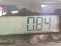 стеклоподъемник передний правый Citroen Jumper 1 поколение 2000, 2.5 л., МКПП, микроавтобус, 00009222F1 - фото №6