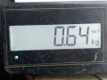 блок управления двигателем SEAT Toledo 2 поколение 2000, 1.6 л., МКПП, седан, 036906034BD - фото №7