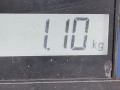 катушка зажигания Opel Corsa D 2008, 1.2 л., МКПП, хетчбэк 3 дв., 93177212 - фото №8