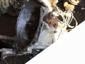 КПП механическая (МКПП) Mazda 6 1 поколение [рестайлинг] 2006, 1.8 л., бензин, GL, L8, 6TF070 - фото №8