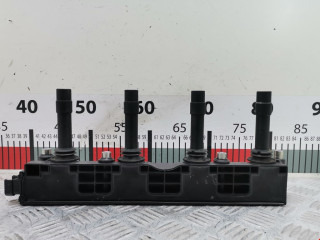 катушка зажигания Opel Meriva 1 поколение (A) 2004, 1.6 л., МКПП, минивэн, 19005212