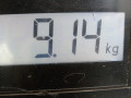 маховик Renault Modus 1 поколение 2007, 1.2 л., МКПП, хетчбэк 5 дв., 8200498703 - фото №8