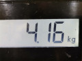 стабилизатор подвески передний Citroen Xsara Picasso 1 поколение 2003, 2.0 л., МКПП, минивэн, 508189 - фото №6