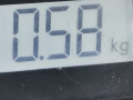 подушка безопасности сиденья BMW X1 E84 2010, 2.0 л., МКПП, внедорожник 5 дв., 72122991556 - фото №5