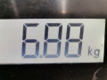 стойка амортизатора Renault Sandero 1 поколение 2010, 1.5 л., МКПП, хетчбэк 5 дв., 543021807R - фото №6