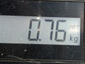 зеркало наружное правое Renault Megane 1 поколение [рестайлинг] 2001, 1.4 л., МКПП, универсал, 7701471859 - фото №5
