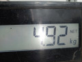 пружина задняя Nissan Qashqai J10 [рестайлинг] 2012, 1.5 л., МКПП, внедорожник 5 дв., 55020JD02A - фото №4