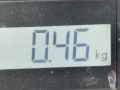 лючок топливного бака Opel Astra J 2010, 1.6 л., МКПП, хетчбэк 5 дв., 13348041 - фото №8