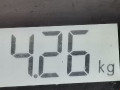 стабилизатор подвески передний Volkswagen Passat B5 [рестайлинг] 2003, 1.9 л., МКПП, универсал, 8D0411309M - фото №3