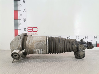 стойка амортизатора Volkswagen Touareg 1 поколение 2006, 5.0 л., АКПП, внедорожник 5 дв., 7L6616019D
