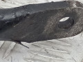 стабилизатор подвески передний Peugeot Partner 1 поколение [рестайлинг] 2008, 1.6 л., МКПП, фургон, 508189 - фото №2