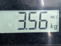 подшипник ступицы задний Mercedes-Benz E-Класс W212/S212/C207/A207 2010, 2.2 л., АКПП, седан, A2119810227 - фото №5