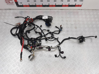 проводка Chevrolet Equinox 2 поколение 2012, 2.4 л., АКПП, внедорожник 5 дв., 20989720