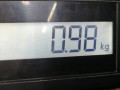 ремень безопасности Ford Fiesta 5 поколение [рестайлинг] 2006, 1.4 л., МКПП, хетчбэк 5 дв., 1302156 - фото №8