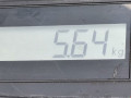 защита двигателя Dacia Logan 1 поколение 2008, 1.5 л., МКПП, седан - фото №3