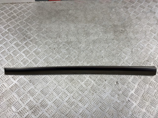 молдинг двери задней левой BMW X7 G07 2018, 3.0 л., B57 D30 C, дизель, arktikgrau brill. metallic (c27), 51138092877