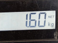 амортизатор задний правый Opel Signum C [рестайлинг] 2006, 1.9 л., МКПП, хетчбэк 5 дв., 93187011 - фото №5