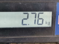 магнитола Mazda 2 1 поколение DY 2005, 1.4 л., МКПП, хетчбэк 5 дв., DG41669H09A - фото №8