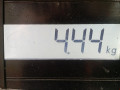 охладитель EGR / Радиатор EGR Opel Zafira 3 поколение (C) 2014, 1.7 л., МКПП, минивэн, 55578076 - фото №7