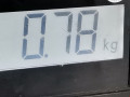 фонарь салона (плафон) Mercedes-Benz M-Класс W164 2006, 4.0 л., АКПП, внедорожник 5 дв., A2518206710 - фото №7