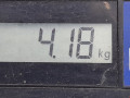 стабилизатор подвески передний BMW X3 E83 2006, 3.0 л., АКПП, внедорожник 5 дв., 31303414599 - фото №5
