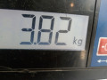 обшивка двери передняя правая Mercedes-Benz CLC-Класс 1 поколение 2009, 2.2 л., АКПП, купе, A20372016629D88 - фото №2