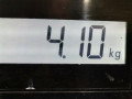 коллектор впускной Mercedes-Benz C-Класс W203/S203/CL203 [рестайлинг] 2005, 2.2 л., АКПП, седан, A6110903637 - фото №5