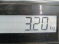 стартер SEAT Ibiza 2 поколение [рестайлинг] 2001, 1.4 л., МКПП, хетчбэк 3 дв., 036911023S - фото №5