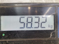 КПП механическая (МКПП) SEAT Alhambra 1 поколение [рестайлинг] 2004, 1.8 л., МКПП, минивэн, 02N300045MX - фото №6