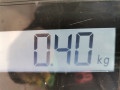 накладка двери (крышки) багажника Renault Scenic 3 поколение 2010, 1.9 л., МКПП, минивэн, 848100030R - фото №5