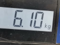 ступица передняя левая Renault Megane 1 поколение 1998, 2.0 л., АКПП, хетчбэк 3 дв., 402027463R - фото №4
