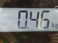 фонарь крышки багажника левый Honda Civic 8 поколение 2006, 1.8 л., МКПП, хетчбэк 5 дв., 34156SMGE03 - фото №5