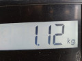 подушка крепления двигателя Opel Astra H 2006, 1.6 л., МКПП, хетчбэк 3 дв. - фото №8